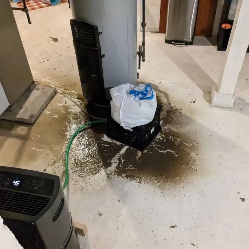 Sewage Backup Cleanup Service in Esmeralda County, NV